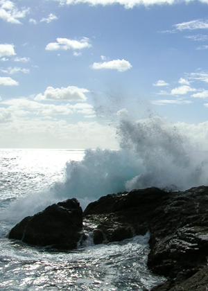 Watch the sea always