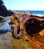 Ledge Care Catherine Hill Bay