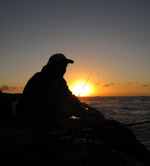 Ledge Care Catherine Hill Bay