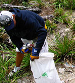 Ledge Care Jervis Bay