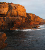 Ledge Care Jervis Bay